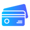 Secure Checkout Icon